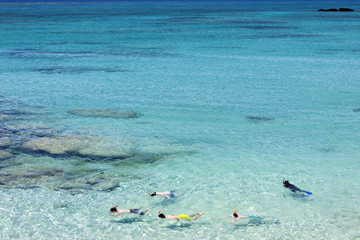 Fototapeta premium Snorkeling in tropical water