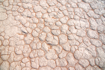 Cracked ground