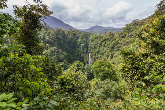 Waterfall in beautiful Costa Rican rainforest