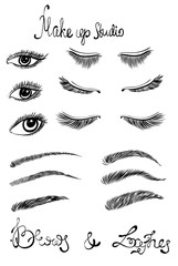 Illustration of beautiful female long eyelashes and brows