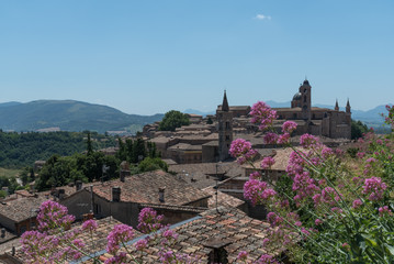 Fototapeta premium primavera in centro italia