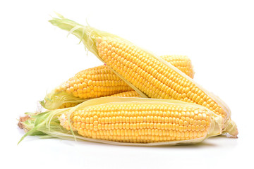 Fresh corn © valeriy555