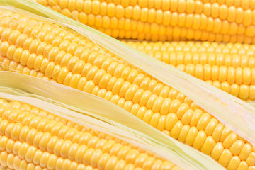 Fresh corn