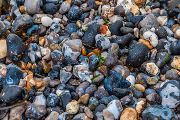 Galets sur une plage à marée basse.