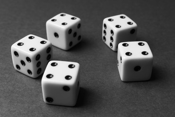 Five dices - fours, black and white photo