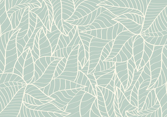 Natural Pattern,Abstract,Curve shape,Leaf Pastel Green colour Background