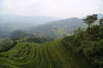 Fototapeta na wymiar Chinese rice terraces