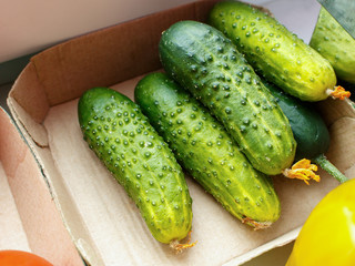 Green cucumbers in the little box