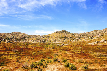 Fototapeta na wymiar Anza Borrego Desert State Park in California, USA.