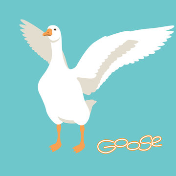 goose vector illustration flat style  front side