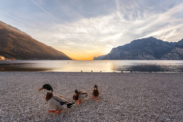 torbole sul lago di garda