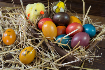 Colorful Easter eggs on wooden background. Easter eggs