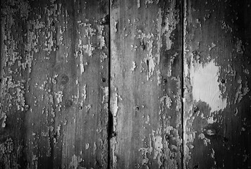 Texture of weathered wooden lining boards with peeling paint and rusty nail heads. Spooky frame. Black white photography. 