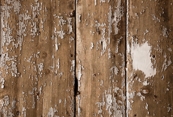 Texture of weathered wooden lining boards with peeling paint and rusty nail heads. Sepia photography. 