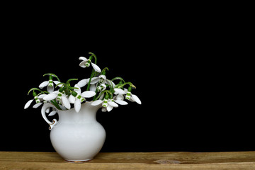 Spring concept. Fresh snowdrops flowers bouquet in a white vase on wooden table and black background. spring time. space for text.