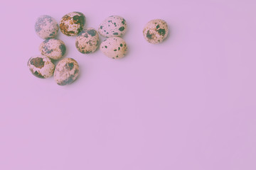 quailed eggs arranged on violet background. Top view, flat lay. Minimal concept. Pastel colors.