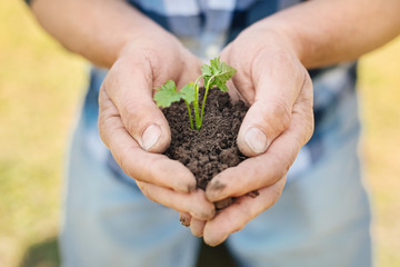 High fertility. Close up of soil in hands of a pleasant man sitting on the knees in the garden