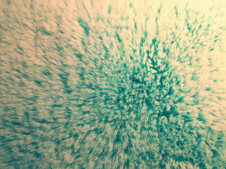 Mint colored fur