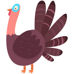 Cute turkey vector cartoon flat character. Bird illustration isolated on white background.