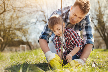 Enjoy beauty of nature. Positive caring man and his little son planting a tree in the garden while spending time together