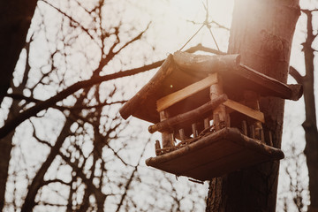 Little wood birdhouse isolated in the park in Warsaw - Poland