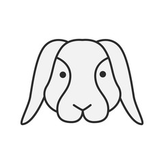 Dwarf rabbit color icon