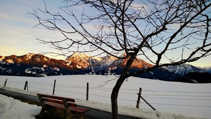 Schneebedeckte Landschaft