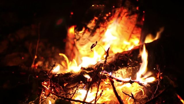 Big night bonfire burns in a clearing in the forest, fire burn ends