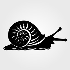 Snail icon isolated on white background.