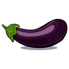 Eggplant vector isolated on white background. Hand drawn cartoon illustration vegetable. Eating healthy and vegan food.