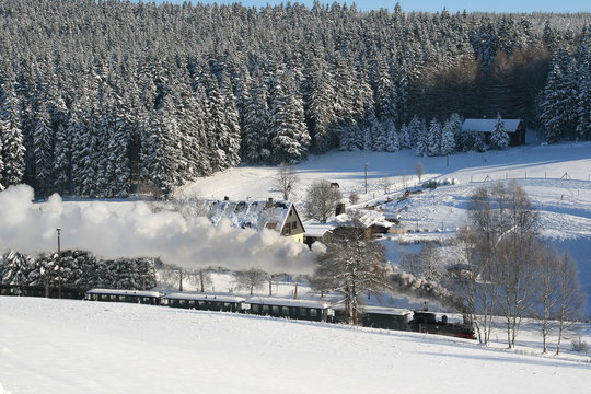 Dampflock in Winterlandschaft