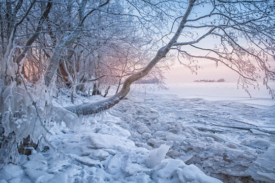 Cold winter landscape with snow, ice and tree