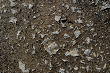 Wet soil background. Wet ground and stones. Natural background. Stony ground