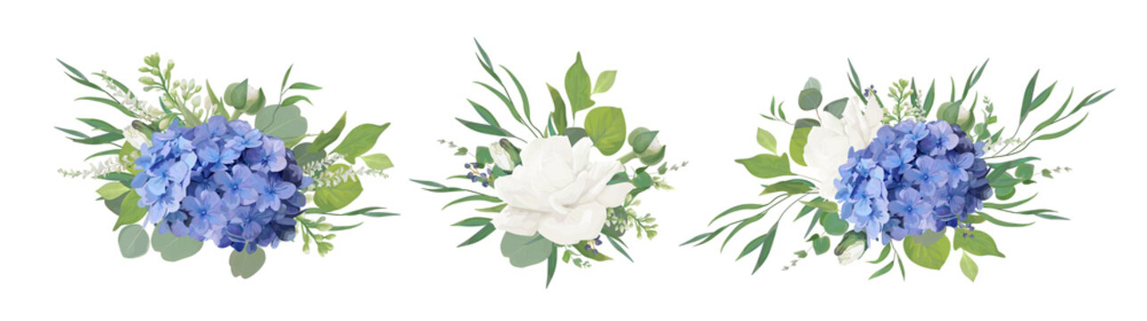 Vector floral bouquet design: blue hydrangea flower, garden peony Rose, anemone poppy, ranunculus bud, white lilac, eucalyptus branches & greenery leaves. Vector, watercolor style designer element set