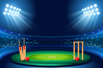Cricket stadium vector background - 197334647