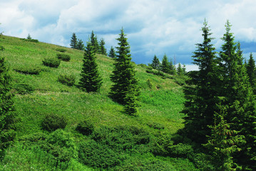 Тропинка на зеленом склоне