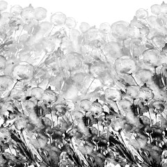 Watercolor illustration, postcard. Wild flower dandelion, air dandelion, blue flowers, petals, leaves, grass, splash of paint. Abstract summer background. black and white art illustration, silhouette 
