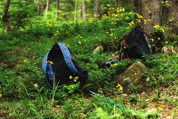 Рюкзачки путешественников