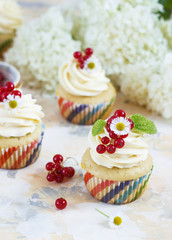 Gentle cupcake with cream and berries on a light background