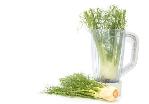 Fennel bulb with leaves in food bowl