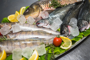 Fresh fish on ice. Healthy food preparation