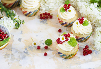 Gentle cupcake with cream and berries on a light background