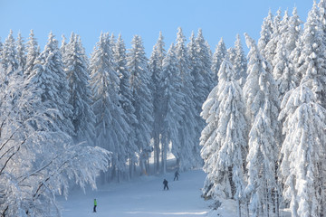 Skipiste im Winter in Winterberg mit Wald