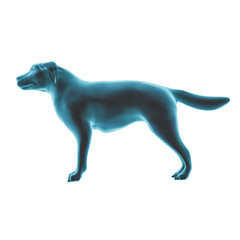 Pseudo X-Ray effect of a 3D rendered Cat