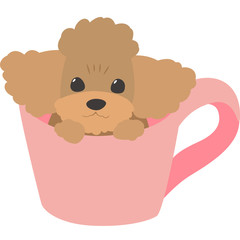 カップに入る犬（トイプードル）