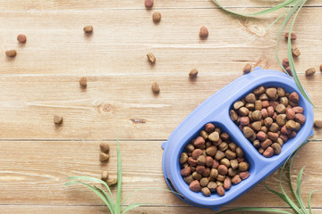 Pet food for dog or cat in bowl on wooden background top view flat lay copy space