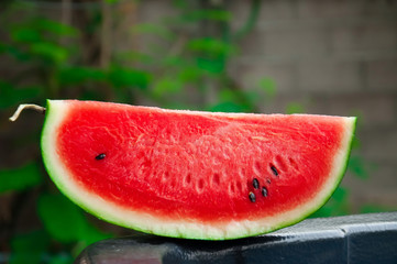 Sweet watermelon cure delicious thirst as a popular plant.