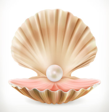 Shell with pearl. Clam, oyster 3d vector icon