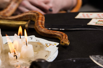 The snake crawls out on the table in front of the witch on which lie ritual objects