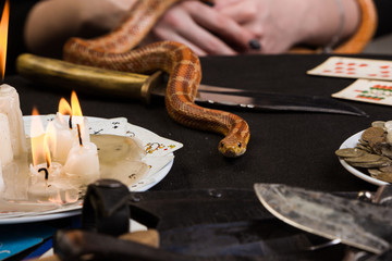 The snake crawls on the table with ritual objects
